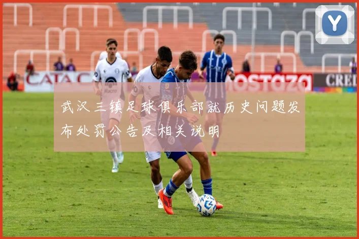 武汉三镇足球俱乐部就历史问题发布处罚公告及相关说明