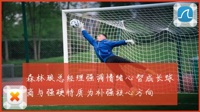 森林狼总经理强调情绪心智成长球商与强硬特质为补强核心方向